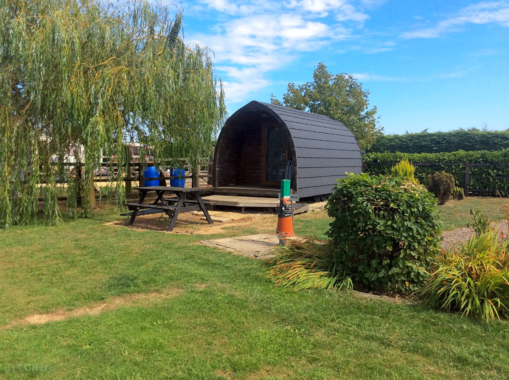Camping pod under the willow tree
